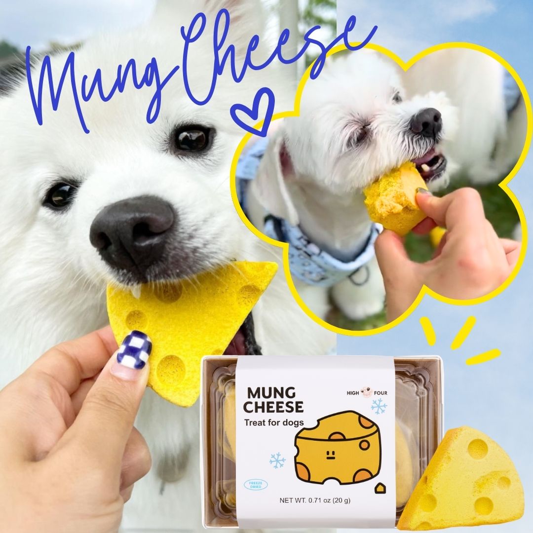 Pup-approved cafe treats, Fresh & Fun!
