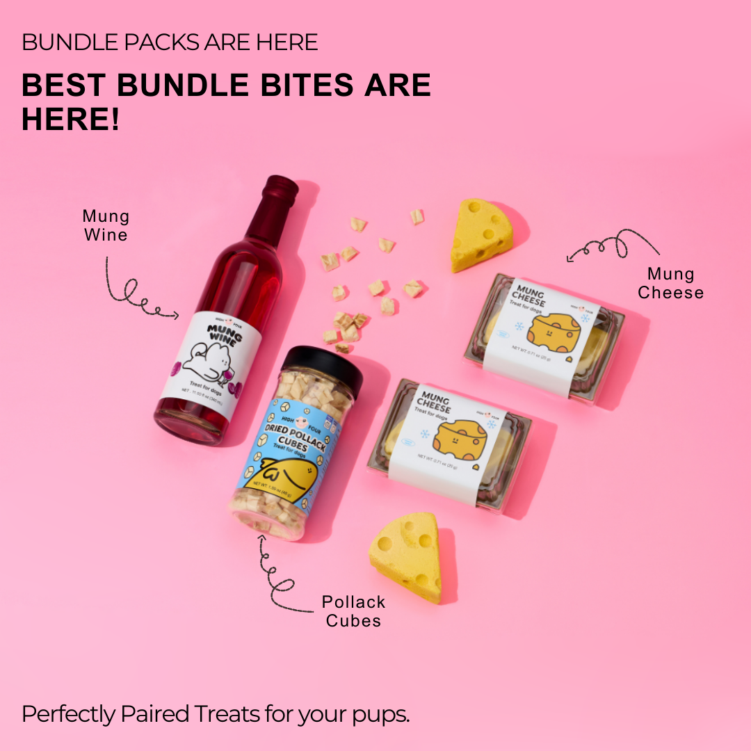 Pup-approved cafe treats, Fresh & Fun!